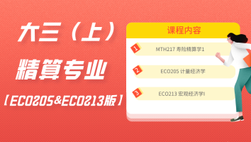精算专业课程包【ECO205&ECO213版】（西浦大三S1）